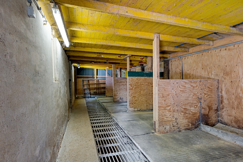 Compagnonsfeart 80_32.jpg